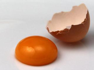 egg-yolk