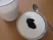 Házi joghurt